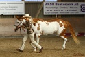 22-APHA HTB_006